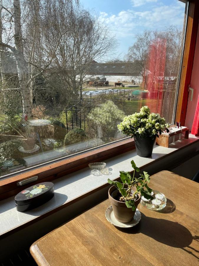Retro Bolig - Fyldt Med Hygge! Ingen Luksus Apartment Kolind Bagian luar foto
